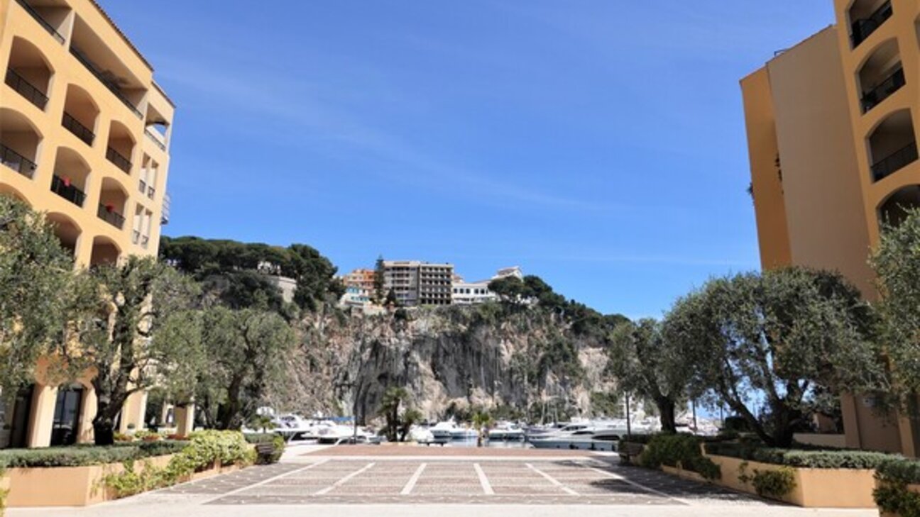 MARINA DE FONTVIEILLE • Studio avec loggia • Cave - 8 / 9
