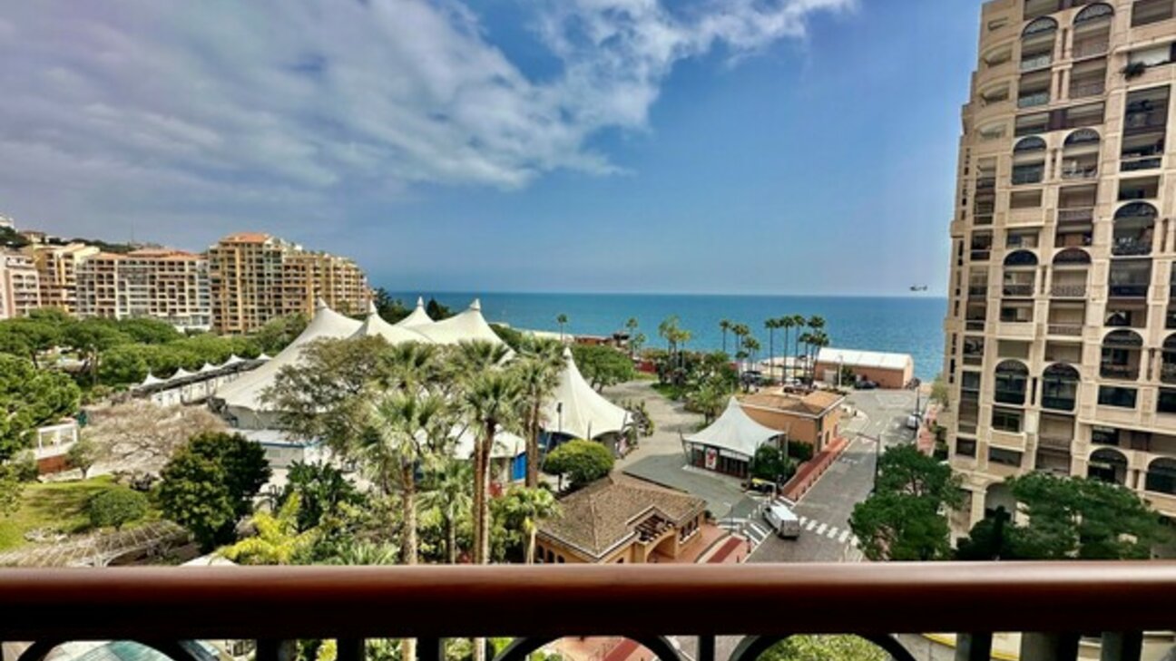 Beautiful 4-room apartment - Rose garden and sea view - 8 / 13