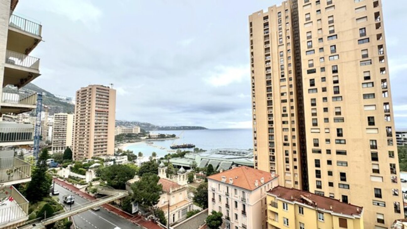 MONTE-CARLO Appartamento 4 LOCALI  rinnovato e ammobiliato con terrazza vista mare - 13 / 13